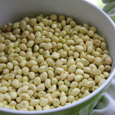 Zipper Cream, Cowpea Seeds - Packet image number null